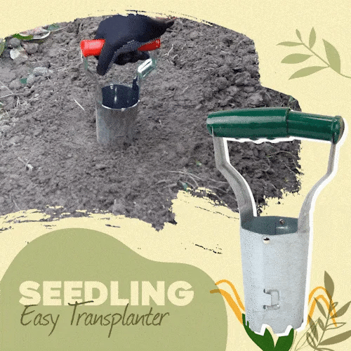 Seedling transplanter planter hole punch