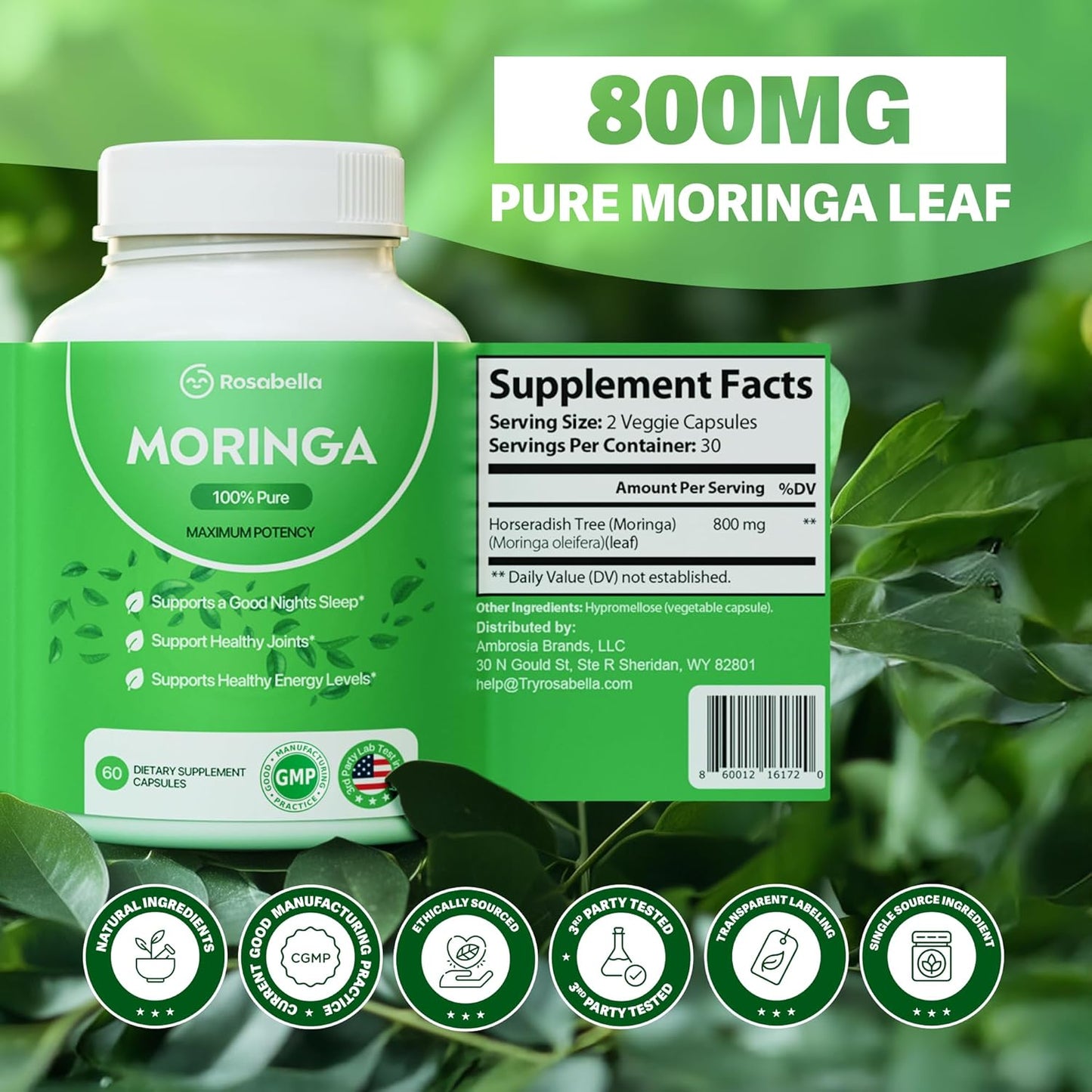 Pure Moringa Supplements